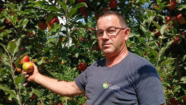 Manfred Reisenbauer in Puch bei Weiz hat es besonders hart getroffen. (Bild: Manfred Reisenhofer)