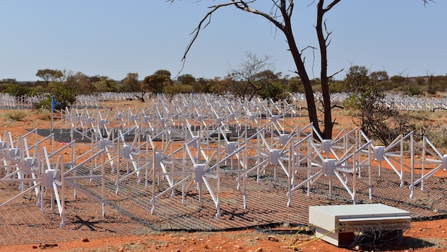 (Bild: Murchison Widefield Array)