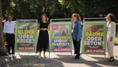 Die Landessprecher Daniel Zadra und Eva Hammerer mit Alma Zadic und Nina Tomaselli. (Bild: Grüne)