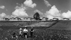 Seit dem Sommer 1964: Ein Zuhause für Kinder in Not oder in der Krise. (Bild: SOS Kinderdorf)