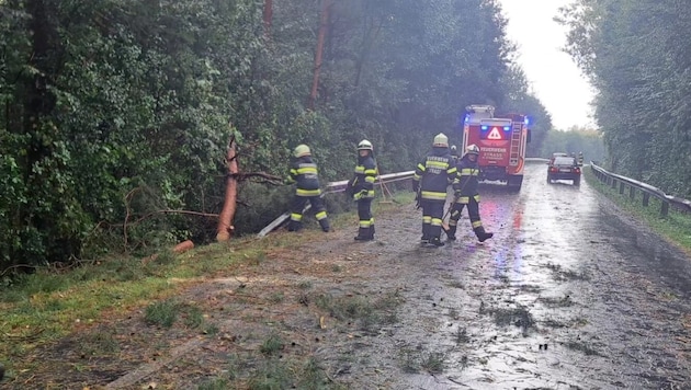 Der starke Sturm knickte die Bäume wie Strohhalme um  (Bild: FF Straß in der Steiermark)