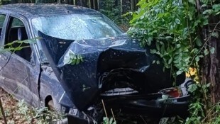 Der Alkolenker krachte schlussendlich gegen einen Baum.