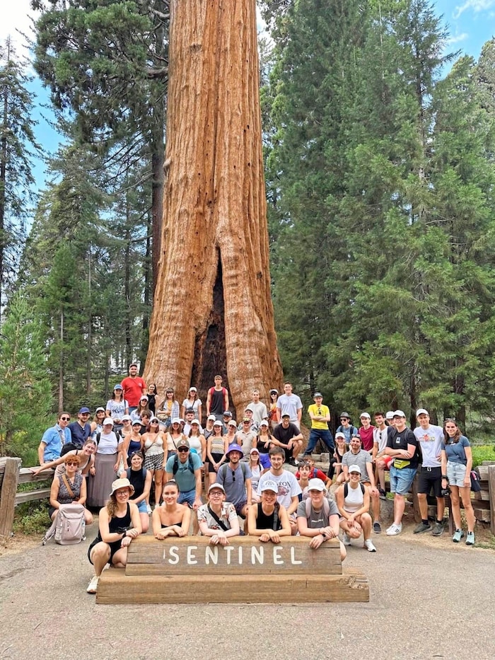 The regional youth choir also visited Sequoia National Park. The giant sequoia "Sentinel" is ...