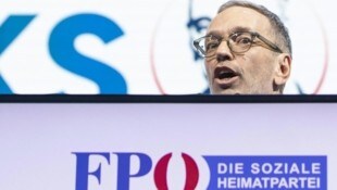 FPÖ-Bundesparteichef Herbert Kickl (Bild: APA/ALEX HALADA)