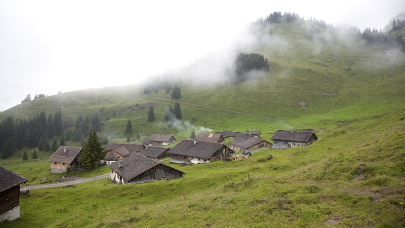 Life on the alp is not always idyllic, but also arduous and sometimes dangerous - and productive: among other things, Vorarlberg alp cheese is made here. (Bild: Mathis Fotografie)