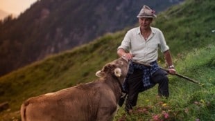 Ein richtiger „Älpler“: Josef Türtscher