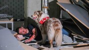 Spürnasen probten am Samstag mit einer simulierten Explosion in Linz den Ernstfall.