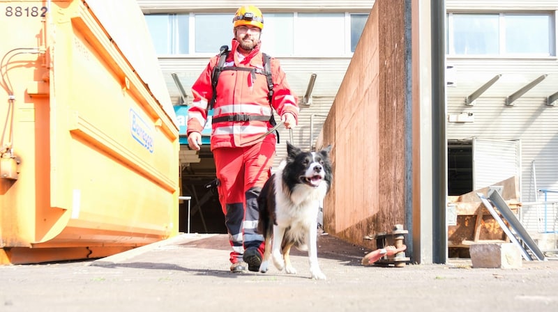 70 Suchhunde-Teams hat das Rote Kreuz in Oberösterreich insgesamt. (Bild: Einöder Horst)