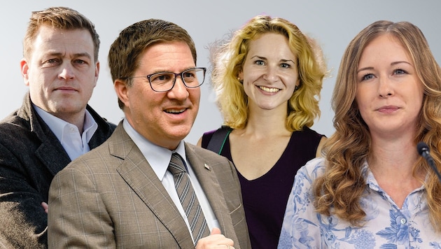 Stefan Kaineder, Andreas Rabl, Eva-Maria Holzleitner und Claudia Plakolm könnten künftig eine größere Rolle in der Bundespolitik spielen. (Bild: Krone KREATIV/Mario Urbantschitsch, Grüne OÖ/Dedl, Sepa Media/Michael Indra, Markus Wenzel)