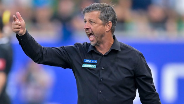 Before coach Gerald Scheiblehner gives his players the "bite order" for the game in Tyrol, BW Linz sponsored a dog. (Bild: GEPA/GEPA pictures)