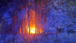 Die Feuerwehren konnten den Brand rasch löschen.