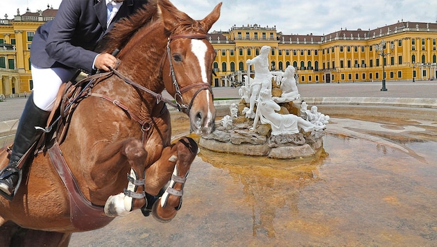 Schönbrunn will be the setting for the Longines Global Champions Tour in 2025 - the Formula 1 of equestrian sport. (Bild: Krone KREATIV, Petra Eckerl/stock.adobe.com, Peter Tomschi)