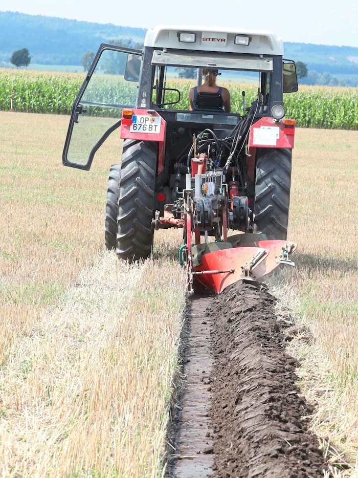 Thrackl überzeugte die Jury mit einem gleichmäßigen Pflugbild ohne sichtbarer Bewuchs von ihrer ...