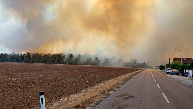 Wind and drought turned a small field fire in Gänserndorf into an inferno. More than 200 firefighters were called upon. (Bild: Bezirksfeuerwehrkommando Gänserndorf)