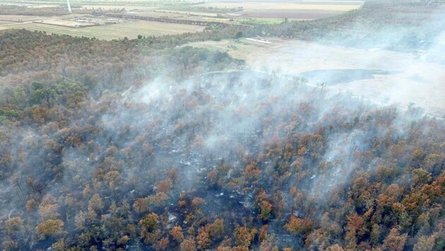 The high temperatures and the very dry ground made it difficult to fight the fire. (Bild: Antal Imre/Imre Antal)