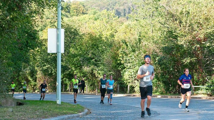 Beim Höhenstraßenlauf am 5. Oktober warten wieder schöne Aussichten auf die Läufer.