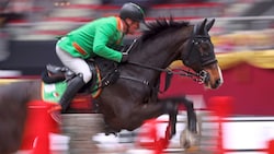 In rund drei Monaten steigen die Amadeus Horse Indoors im Salzburger Messezentrum.  (Bild: Tröster Andreas/Kronen Zeitung)