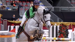 Ab heute wird im Messezentrum geritten.