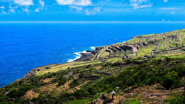 The find was made during a restoration project on Pantelleria. (Bild: stock.adobe.com/Grey Zone - stock.adobe.com)