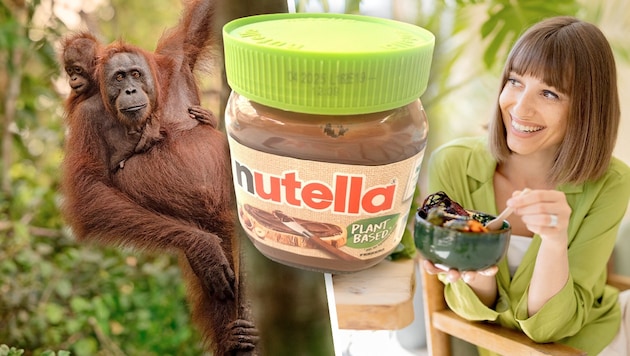 Nutella is now also available as a plant-based variant. Nevertheless, the habitat of orangutans, for example, is being destroyed for this product too. (Bild: Krone KREATIV/stock.adobe.com/adundo.com)