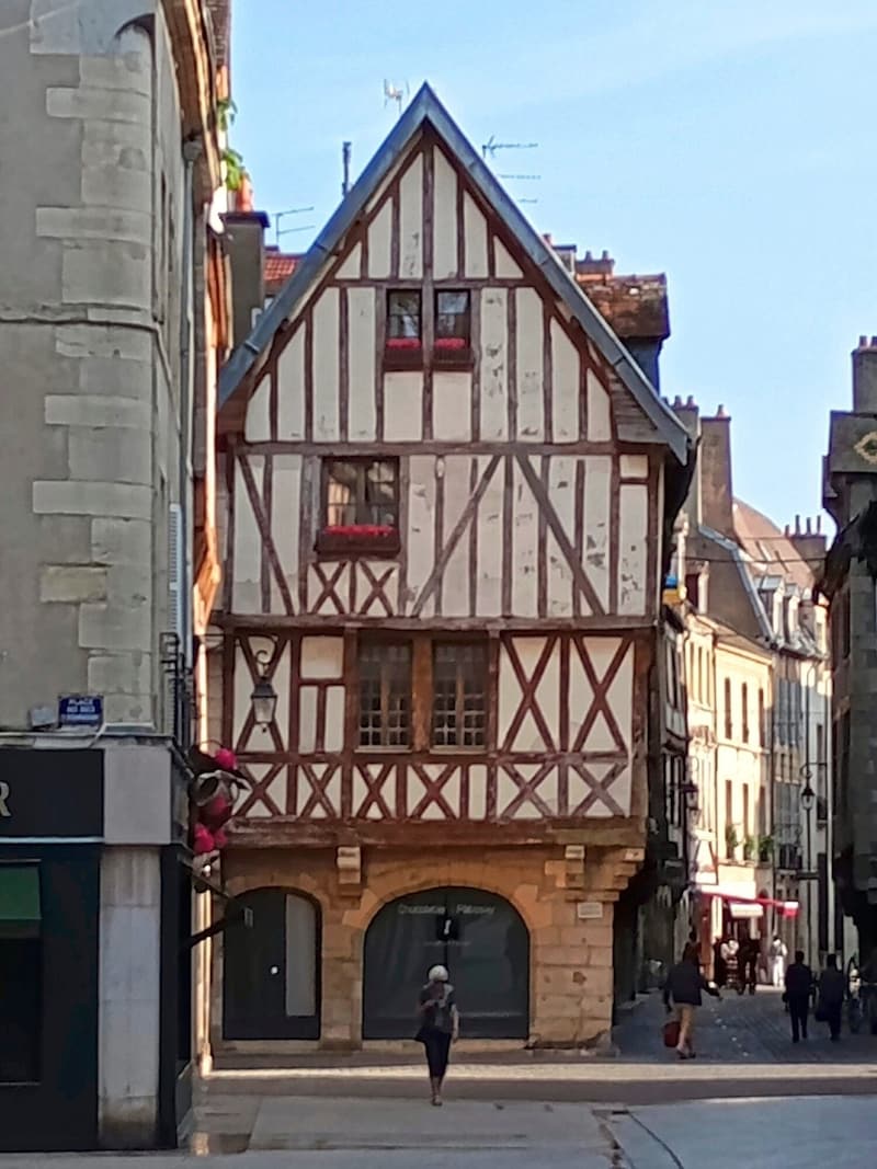 Dijon, die „Hauptstadt des Senfs „ hat einen gut erhalteten mittelalterlichen Stadtkern. (Bild: Eva Bukovec)