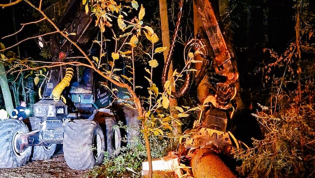 The spruce fell onto the tractor and killed the driver in Neukirchen an der Enknach (Bild: Scharinger Daniel/Pressefoto Scharinger )