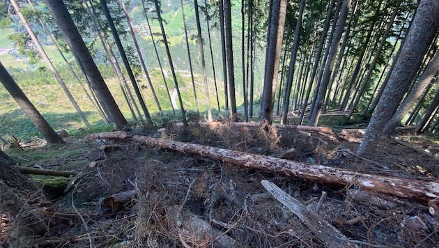 Hier kam es zum tödlichen Unfall. (Bild: ZOOM Tirol)