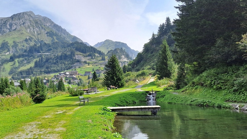 Der Teich beim Kneipbecken. (Bild: Bergauer Rubina)