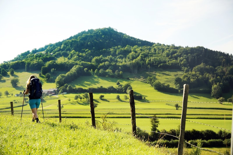 Unterwegs am Pielachtaler Pilgerweg. (Bild: weinfranz.at)