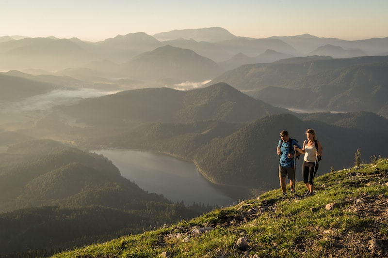 Wandern mit Panoramablick auf der Gemeindealpe. (Bild: Robert Herbst)