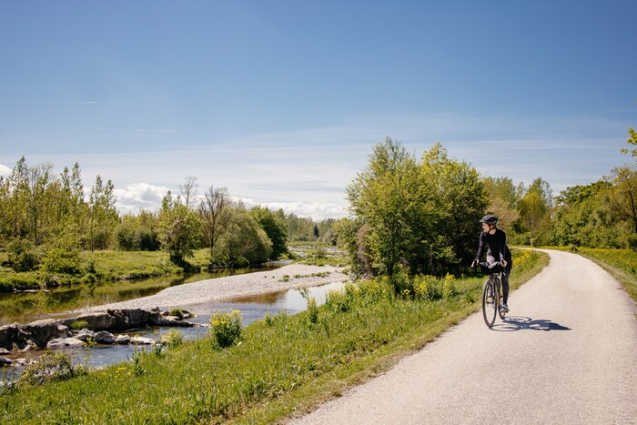 Relaxed cycling on the Traisental cycle path.