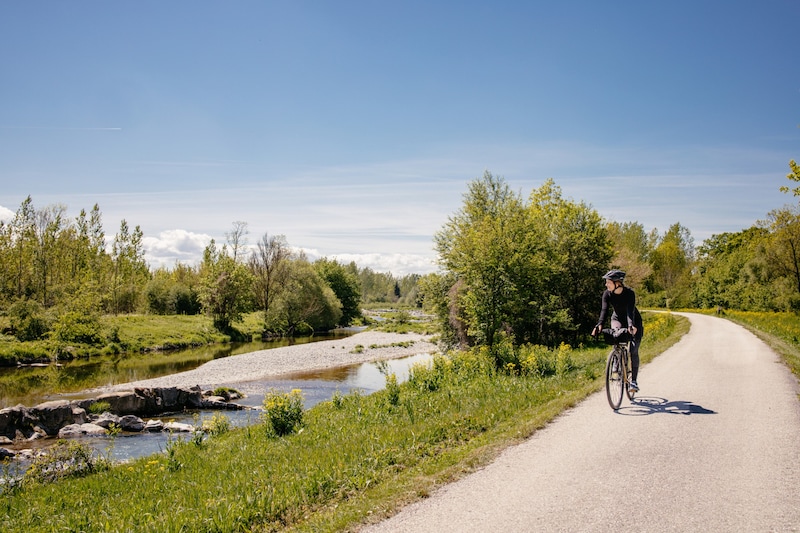 Relaxed cycling on the Traisental cycle path. (Bild: © Niederösterreich Werbung/ Franziska Consolati)