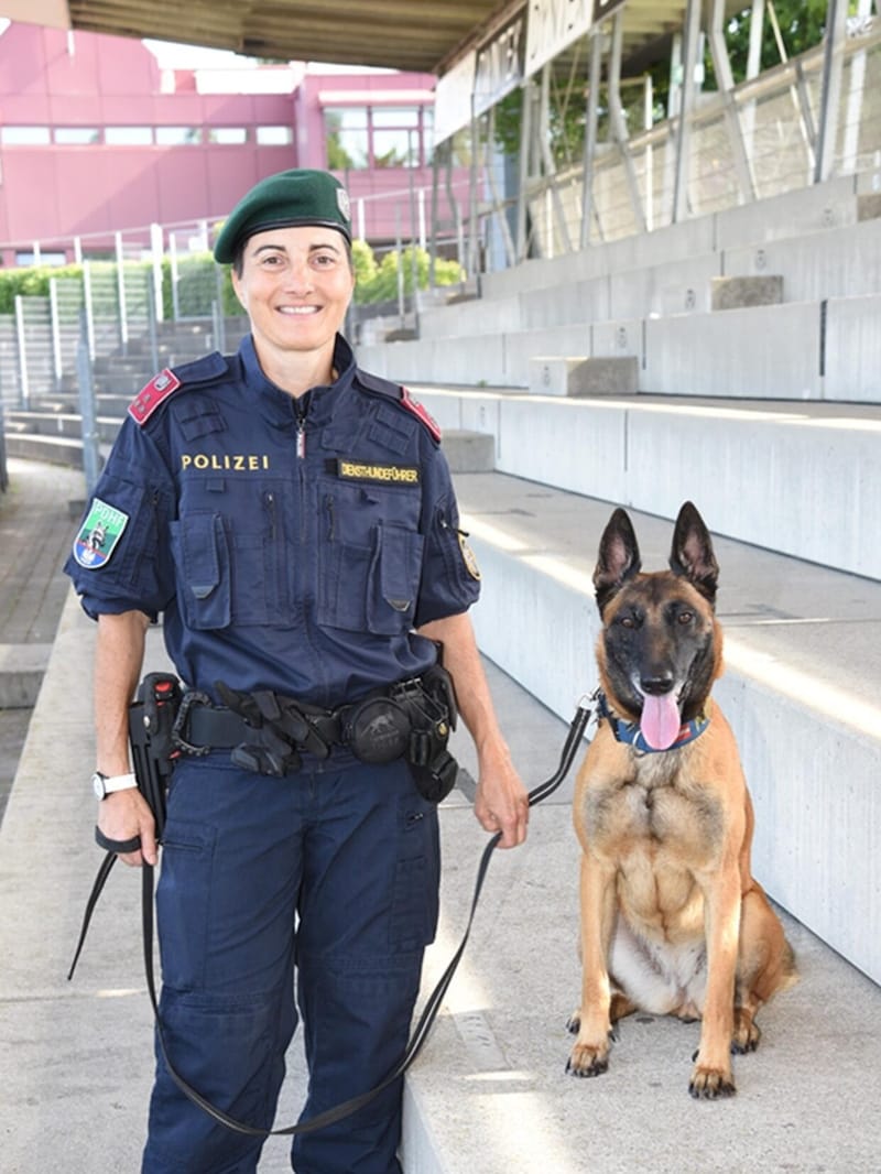 „Safira“ wusste, wo sie zu suchen hat.  (Bild: Polizei Vorarlberg)