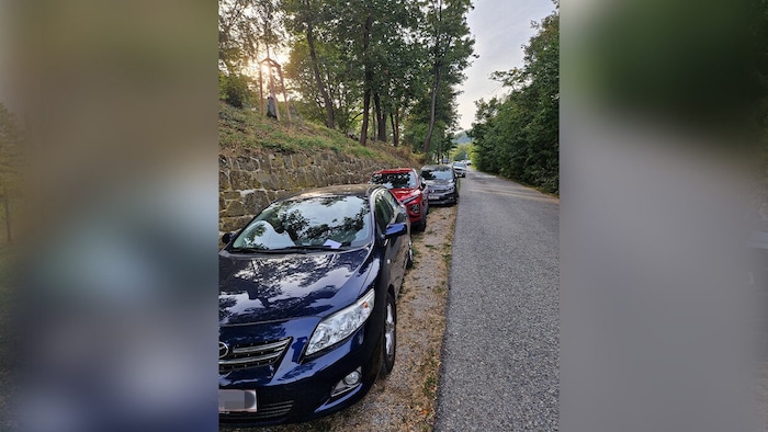 Anzeigen wegen Parken auf einer „Grünfläche“.