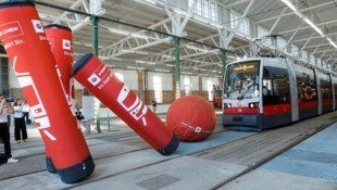 Eine von sechs Disziplinen: Beim Tram-Bowling müssen die Kegel per Ball umgeworfen werden. (Bild: Holl Reinhard/Reinhard Holl)