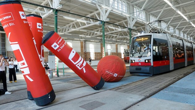 Eine von sechs Disziplinen: Beim Tram-Bowling müssen die Kegel per Ball umgeworfen werden. (Bild: Holl Reinhard/Reinhard Holl)