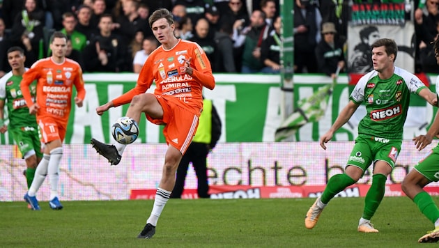 Julian Halwachs made 22 appearances for Hartberg last season. (Bild: GEPA/GEPA pictures)