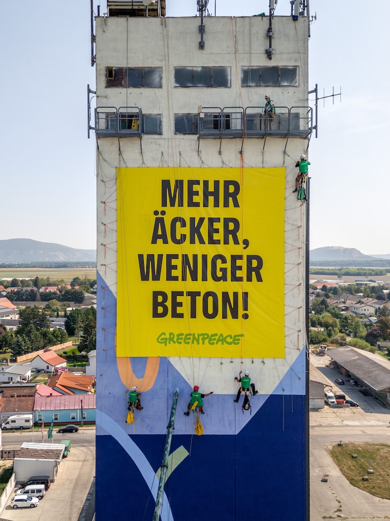 (Bild: Tom Lachmayr Greenpeace)