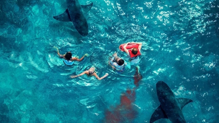 Survival Thriller „Something In The Water“: Ab sofort im Kino. 