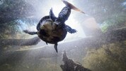 Vor wenigen Tagen geschlüpft: Die kleinen Sumpfschildkröten erkunden schon fleißig den ...