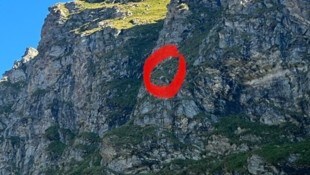 Die Ziege konnte sich selbst nicht mehr aus ihrer misslichen Lage befreien. 