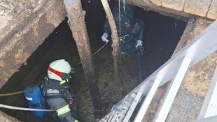 Zwei Feuerwehrmänner waren in die Jauchegrube hinabgestiegen.