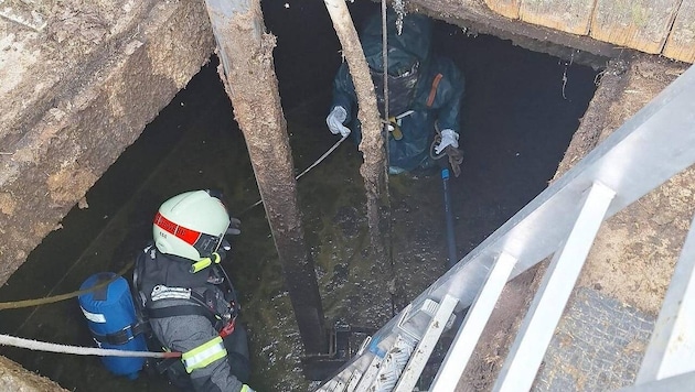 Zwei Feuerwehrmänner waren in die Jauchegrube hinabgestiegen. (Bild: Feuerwehr Egg)