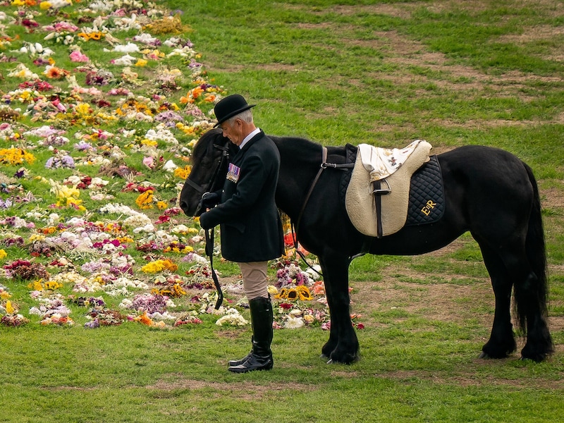 Emma, das Fellpony der Monarchin, und Terry Pendry zollen der verstorbenen Königin Respekt, als ihr Sarg auf Schloss Windsor zur Beisetzung in der St. George‘s Chapel eintrifft. (Bild: www.viennareport.at/Aaron Chown / Avalon)