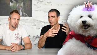 In England ging tractive – hier die Geschäftsführer Michael Hurnaus (l.) und Wolfgang Reisinger ...