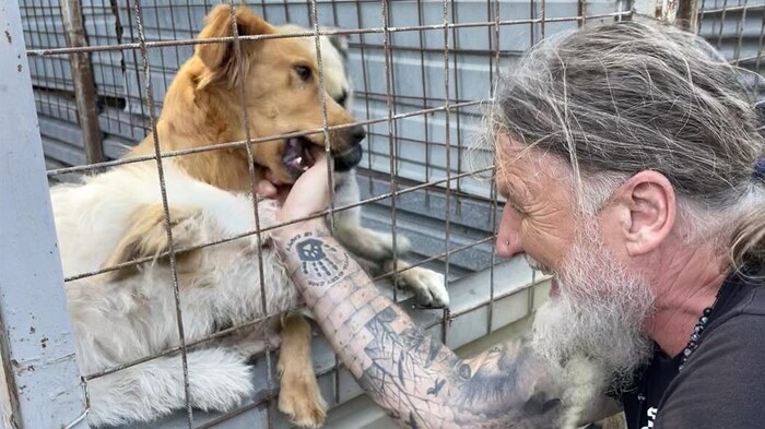 Putzgruber mit einem der vielen Hunde, die im Tierheim betreut werden müssen, weil sie keine Besitzer mehr haben