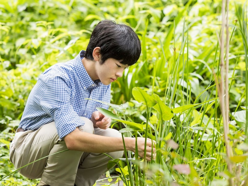 Prince Hisahito (Bild: APA Pool/IMPERIAL HOUSEHOLD AGENCY OF JAPAN/Handout)