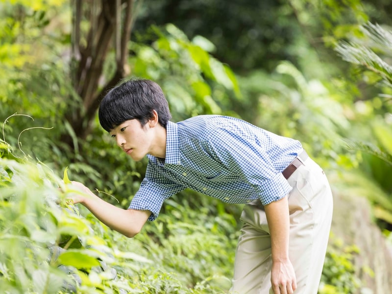 Prince Hisahito (Bild: APA Pool/IMPERIAL HOUSEHOLD AGENCY OF JAPAN/Handout)