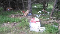 Zahlreiche Pakete lagen verstreut im Wald.