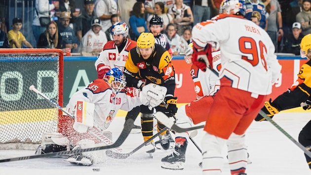 Atte Tolvanen und die Eisbullen mussten sich am Freitagabend knapp geschlagen geben. (Bild: Gintare Karpaviciute 2024 EC Red Bull Salzburg)